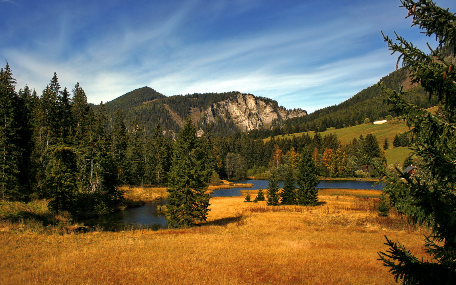 S赛后的休赛期大地震：TheShy、Uzi复出传闻最新进展，uzi s1